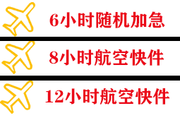 中川机场物流快递公司,专业空运当天件